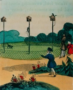 Postes a los que se encadenaban los monos en verano como juguetes de monos en un palo. 1840s