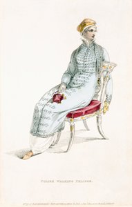 Pelisse de paseo polaca, lámina de moda de Ackermanns Repository of Arts de English School