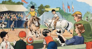Ponis