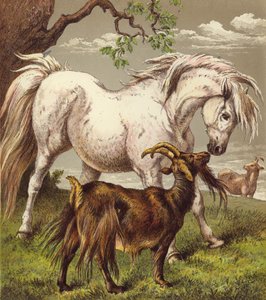 Pony y cabras (litografía en color) de English School