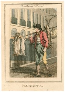 Portland Place. Conejos