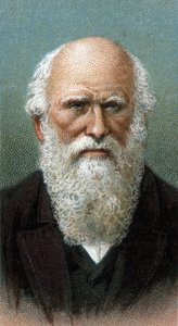 Retrato de Charles Robert Darwin (1809-1882) - De la serie “Líderes de Hombres” - Cromolitografía - Escuela Inglesa, siglo XX