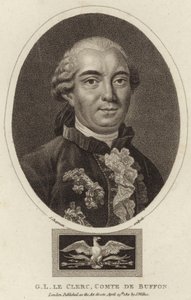 Retrato de Georges-Louis Leclerc, Conde de Buffon de English School