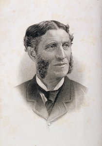 Retrato de Matthew Arnold (1822-88) de English School