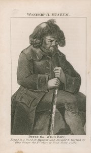 Retrato de Peter el Niño Salvaje de English School