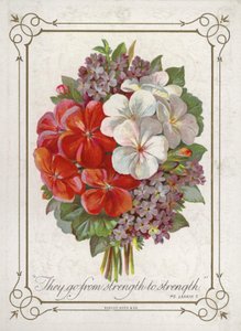 Ramillete de flores