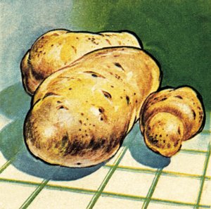 Patatas