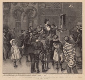 Lecciones prácticas en ciencia elemental en Whitechapel; Una exposición de abejas vivas de English School