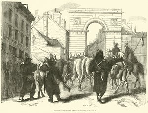 Tropa de forrajeo prusiana trayendo ganado, octubre de 1870 de English School