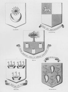 Escudos públicos: Ilchester; Altringham; Wells; Wexford; Musselburgh (grabado) de English School
