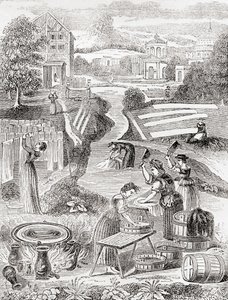 Lavaderos públicos de English School