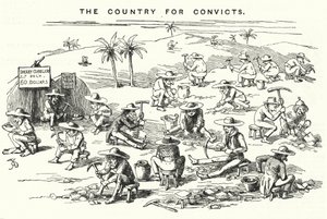 Caricatura de Punch: California, el país para convictos (grabado) de English School