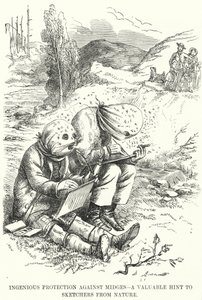 Caricatura de Punch: Protección Ingeniosa contra los Mosquitos - un Consejo Valioso para los Dibujantes de la Naturaleza
