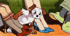 Cachorro