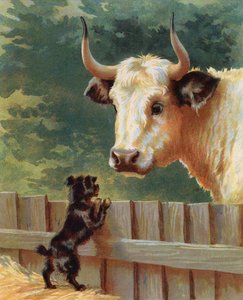 Cachorro enfrentándose a un toro en una granja (chromolitho)