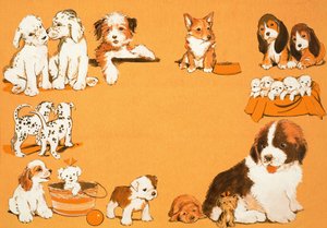 Cachorros