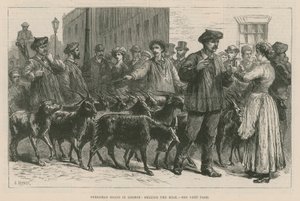 Cabras pirenaicas en Londres de English School