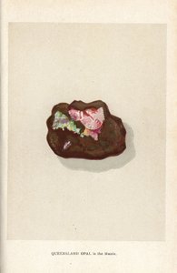 Ópalo de Queensland en la matriz, de "Precious Stones and Gems" de Edwin Streeter, Londres, George Bell & Sons