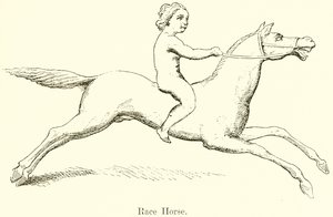 Caballo de carreras de English School