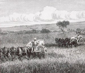 Cosecha, Sur de Adelaida, Australia de English School