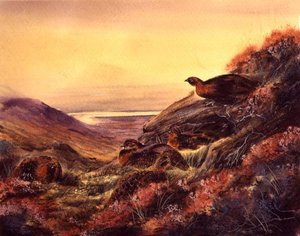 Urogallo rojo en el páramo, c.1890