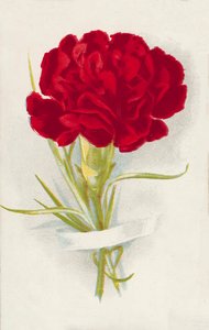 Clavel rojo (cromolito)