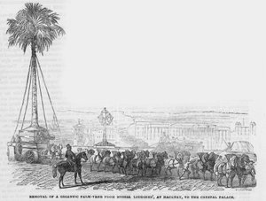 Traslado de una palmera gigante de Messrs Loddiges en Hackney al Crystal Palace de English School