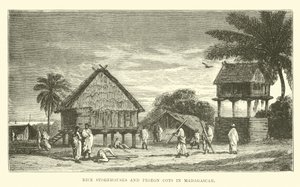 Almacenes de arroz y palomares en Madagascar de English School