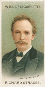 Richard Strauss de English School