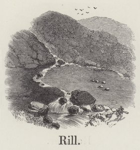 Riachuelo