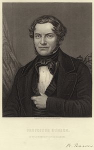 Robert Bunsen de English School