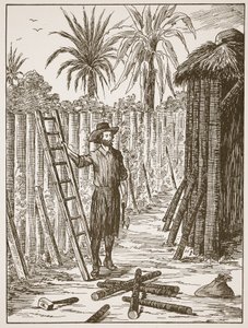 Robinson Crusoe construyendo su enramada, ilustración de La historia de Robinson Crusoe: Una adaptación para niños siguiendo el lenguaje de Defoe, pub. por Griffith Farran Browne & Co. Limited, Londres