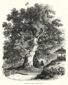 El castaño de Robinson Crusoe (grabado) de English School