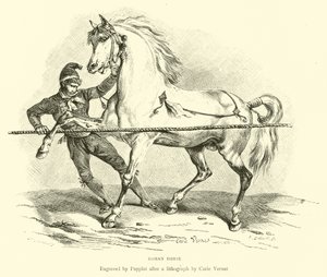 Caballo romano