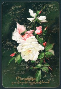 Rosas de English School