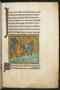 Real 12 F.XIII, f.16   Un cazador disparando una flecha a un animal.  Bestiario (ff. 3-141), Lapidario (ff. 141v-149)  2do cuarto del siglo XIII de English School