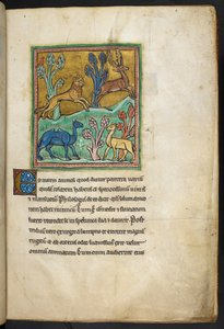 Real 12 F.XIII, f.7   Un leopardo persiguiendo a un ciervo, con un camello y otro animal.  de Bestiario (ff. 3-141), Lapidario (ff. 141v-149)  2do cuarto del siglo XIII de English School