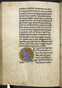 Royal MS 12 C XIX f.50v, Abubilla, de 