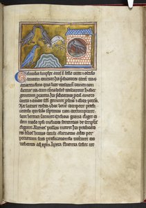 Royal MS 12 C XIX f.54r Palomas, de 