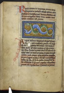 Royal MS 12 C XIX, f.63v Anguis, de 