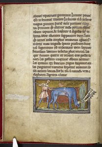 Royal MS 12 C XIX, f.7v Antelope, de 