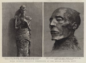 Momias reales recientemente desvendadas en el Museo Boulak, Egipto