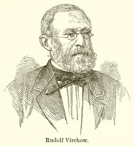 Rudolf Virchow de English School