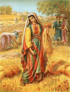 Rut en el campo de maíz de English School