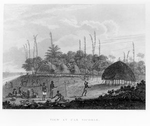 Marineros recolectando provisiones en Car Nicobar, de Voyages and Travels to India, Ceylon, The Red Sea... por George, Viscount Valentia, publicado en 1809 de English School