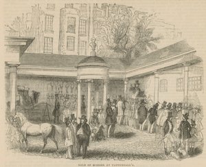 Venta de caballos en Tattersalls de English School