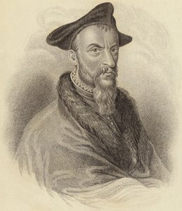 Salviano de English School
