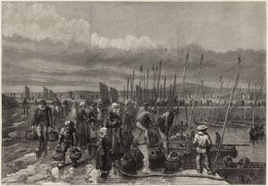 Pesca de sardinas en la costa de Bretaña