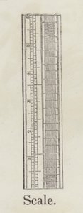 Escala