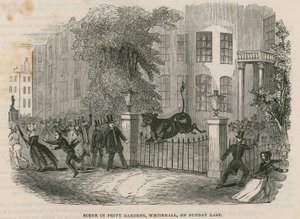 Escena en los Jardines Privados